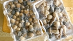 Hướng dẫn cách bảo quản nấm rơm trong tủ đông