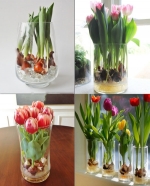 Cách bảo quản hoa Tulip tươi lâu bằng kho lạnh